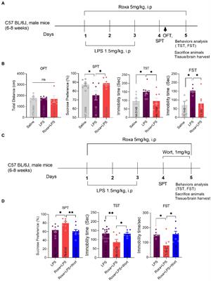 Roxadustat (FG-4592) abated lipopolysaccharides-induced depressive-like symptoms via PI3K signaling